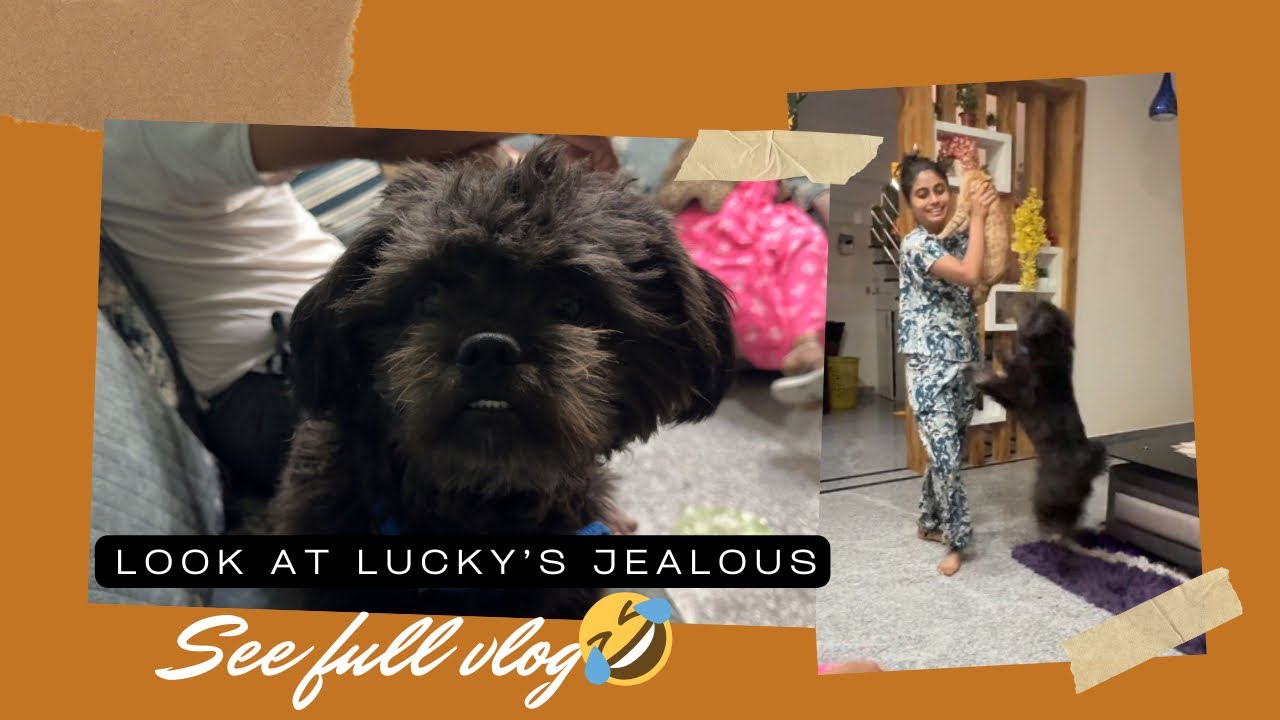 See His jealously feel guys￼🤣🔥 