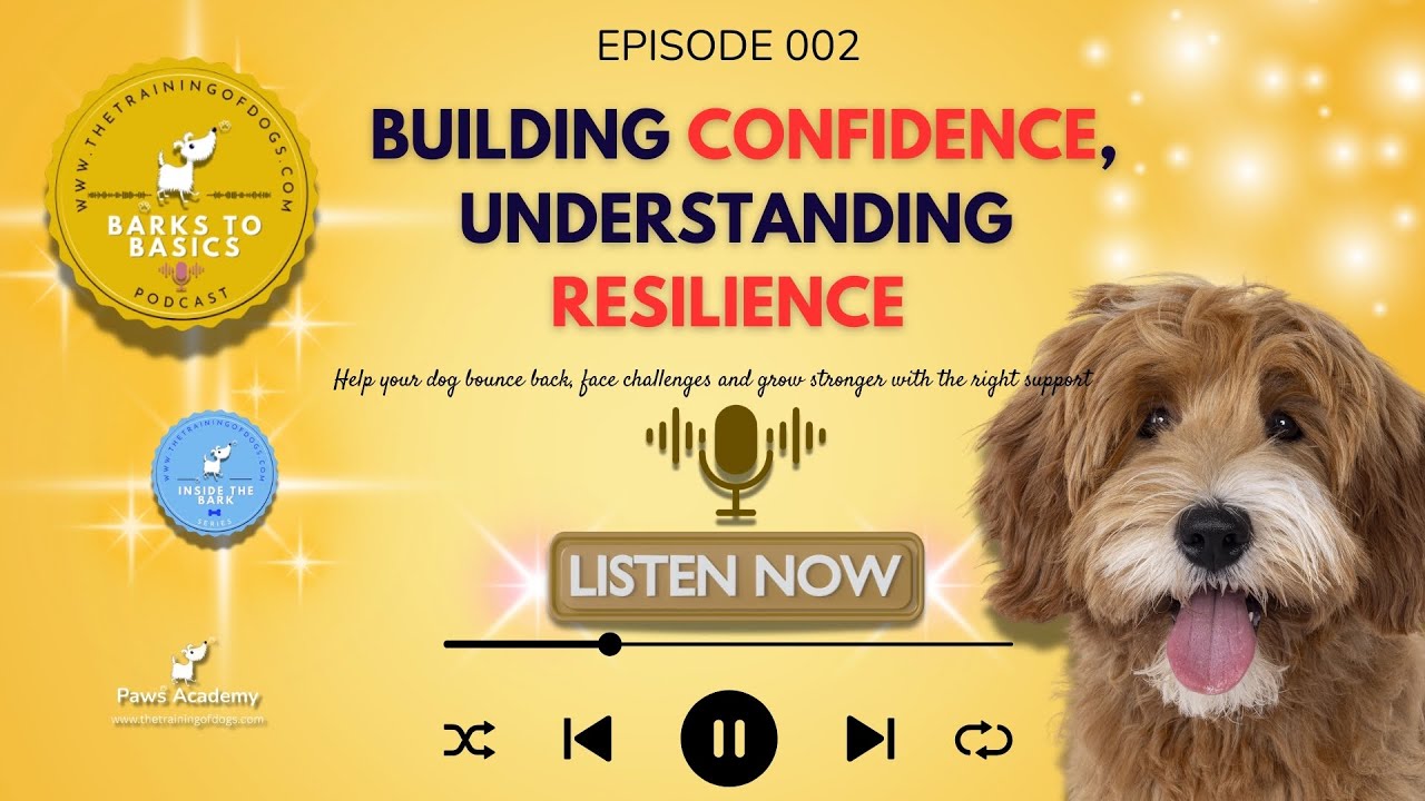 Understanding Canine Resilience, Building Confidence in Your Dog &ndash; Paws on Point Podcast Episode 002