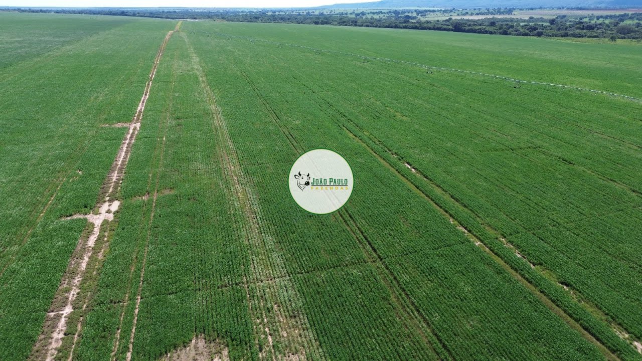 FAZENDA A VENDA EM MONTALVANIA-MG  725 HECTARES - PORTEIRA FECHADA