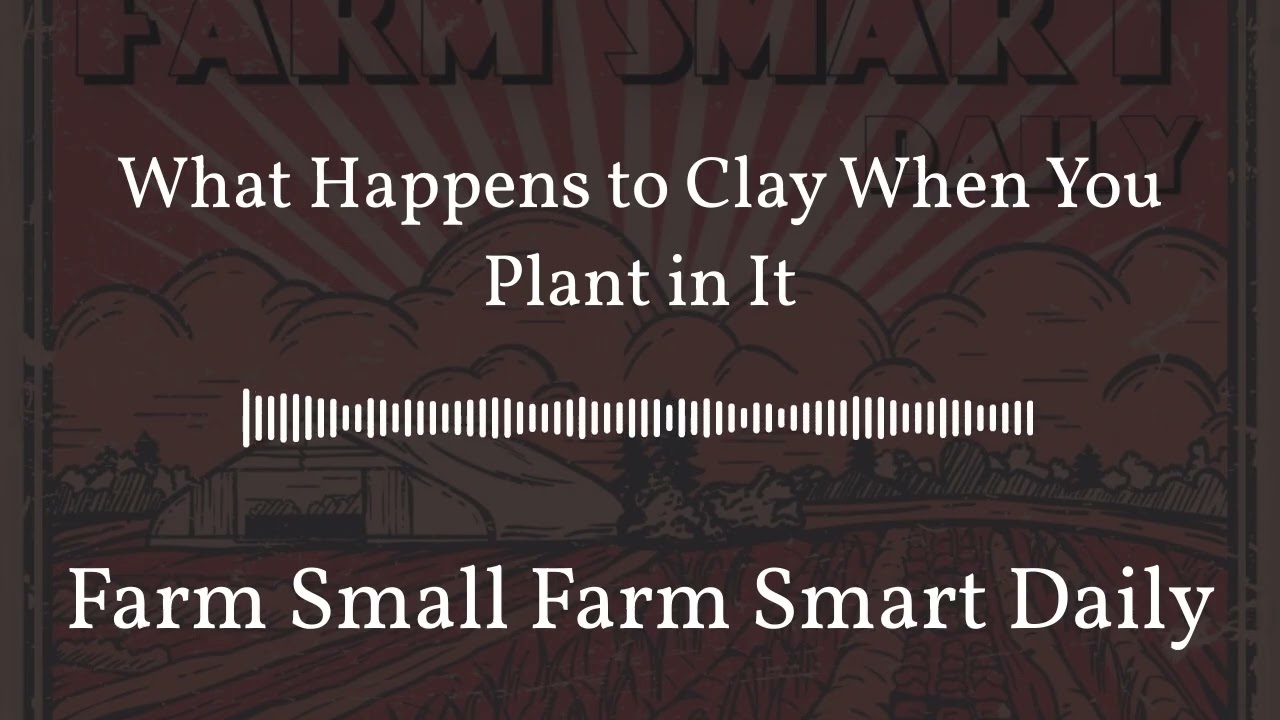 What Happens to Clay When You Plant in It | Farm Small Farm Smart Daily