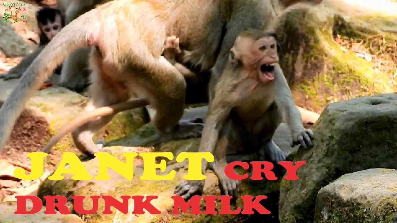 JANET STILL CRY LOUDLY CUZ ANGRY MOM JANE DENY MILK AGAIN&AGAIN |