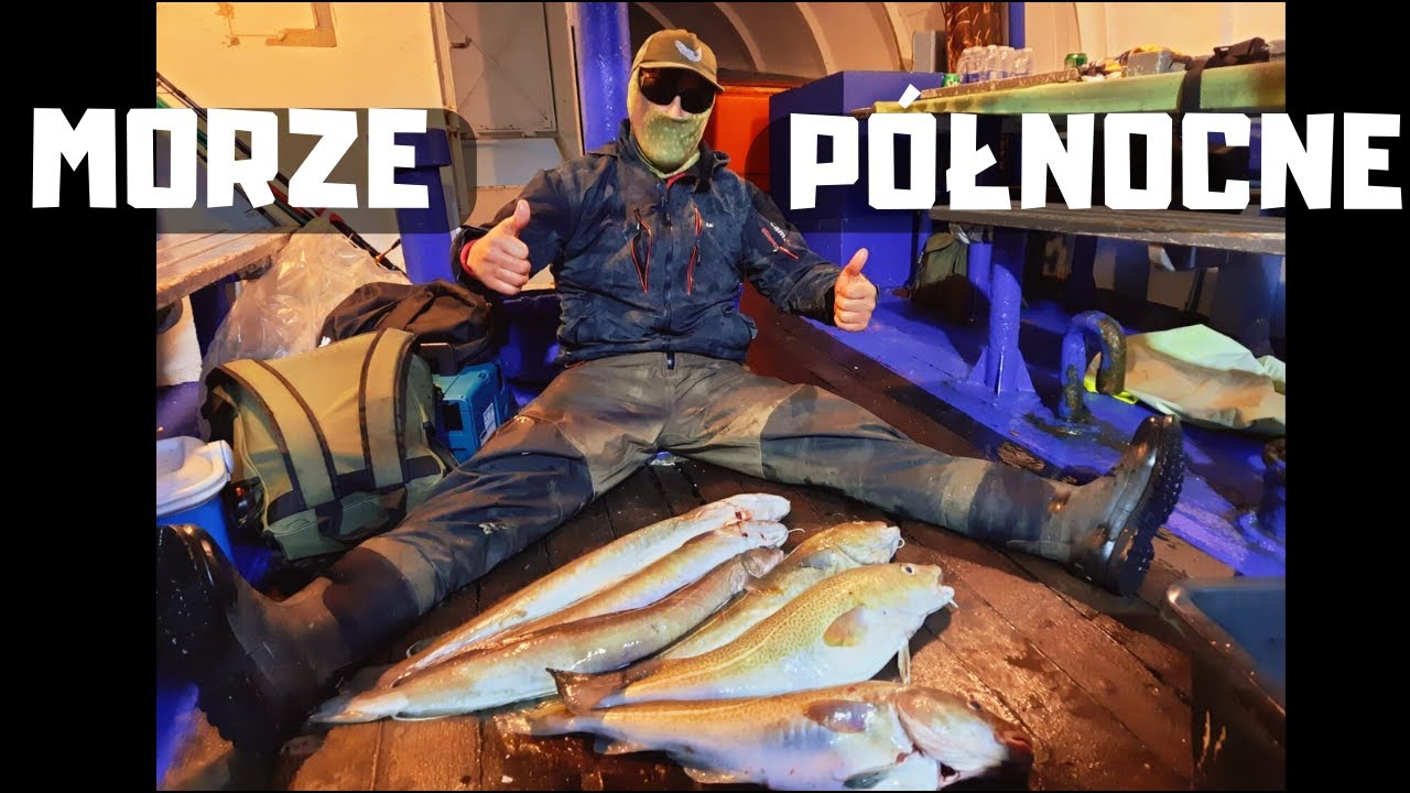 WYPRAWA NAD MORZE  P&Oacute;ŁNOCNE.  DORSZ MOLWA CZARNIAK PLAMIAK RDZAWIEC Z Z&Oacute;ŁTEJ RAFY