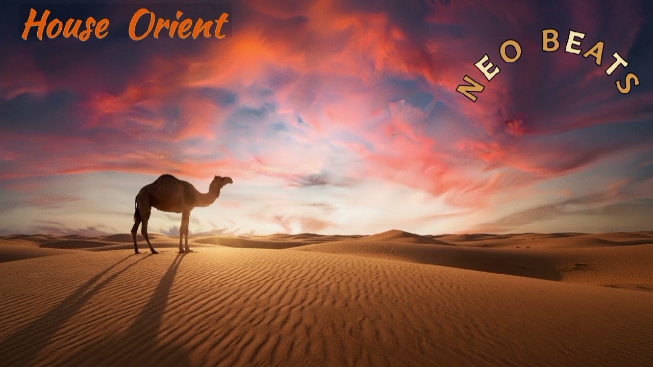 House Orient (Original Mix)Artist / Composer / Producer: NEO BEATS - (Alain BOURSIER)