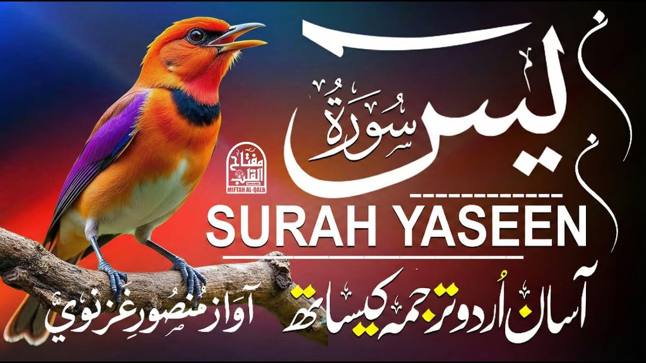 Surah Yaseen (Yasin) with Urdu & Hindi Tarjuma | Heart Touching Tilawat | Qari Mansoor