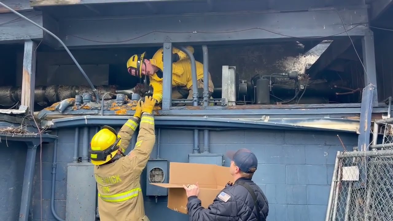 Kittens Rescued Following Restaurant Fire
