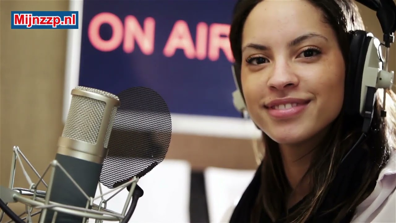 Wat doet een nieuwslezer?