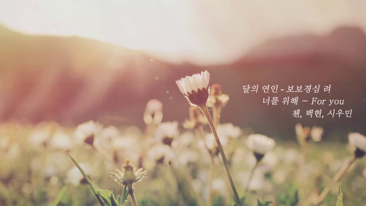 첸 (Chen), 백현 (Baekhyun), 시우민 (Xiumin) - 너를 위해 [Scarlet Heart Ryeo OST Part 1] - Piano Cover 피아노