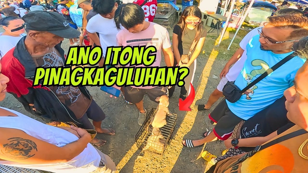 BABALA: WAG ILABAS ANG MGA PETS.. / EKSENA SA BOCAUE PET MARKET..
