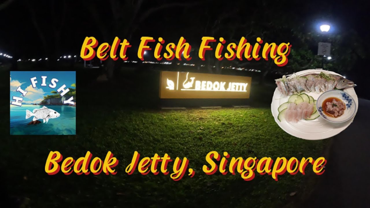 Sashimi Belt Fish from Bedok Jetty Singapore (revised captions) 带鱼垂钓 - 新加坡勿洛码头