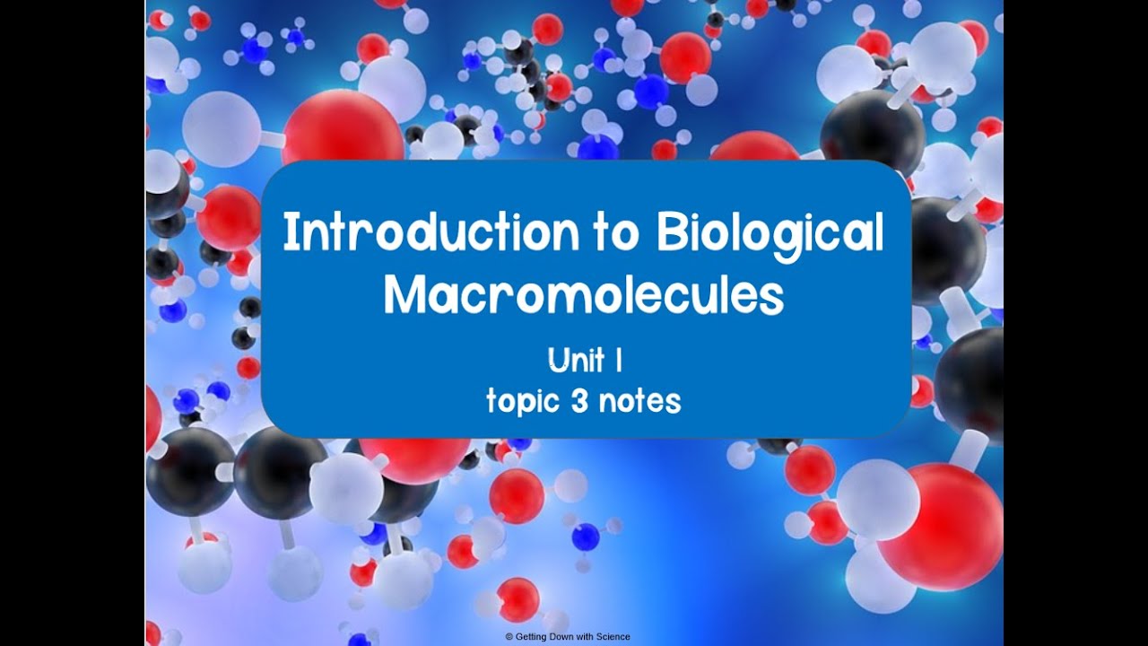 1.2 and 1.3 Elements of Life and Intro to Macromolecules