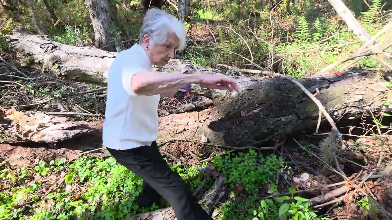 My grandma gose off tail into the wilderness 