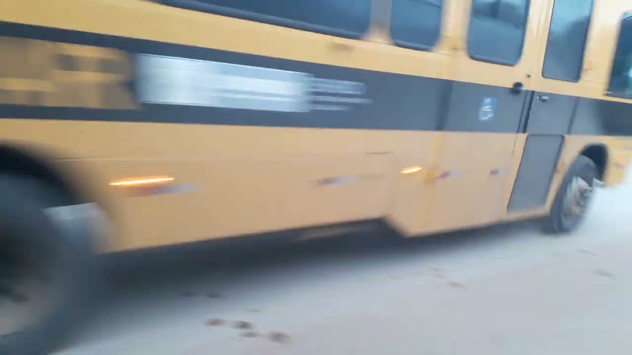 Neobus thunder midi escolar on  104 ano 2022