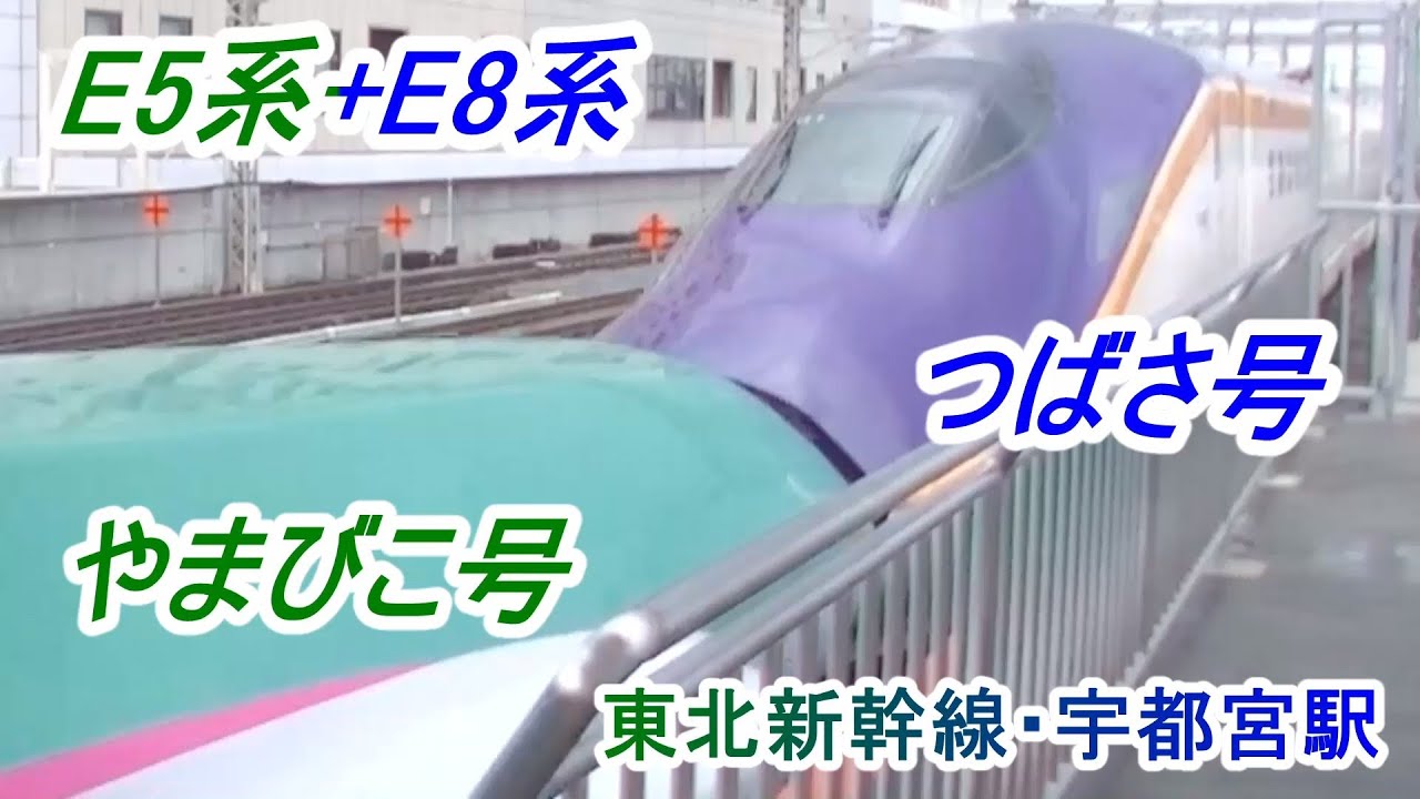 東北新幹線「宇都宮駅」 上り方面 E5系「やまびこ」号 と E8系「つばさ」号 東京行
