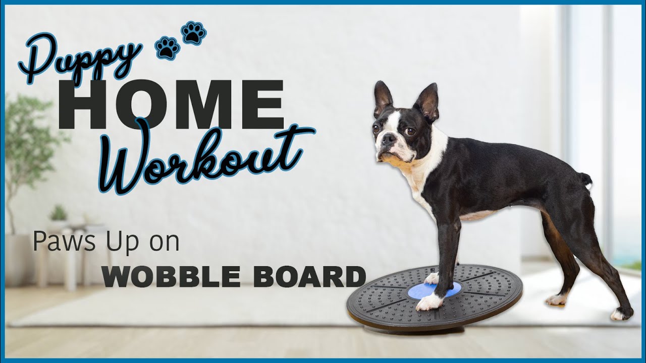 Wobble Board Workout