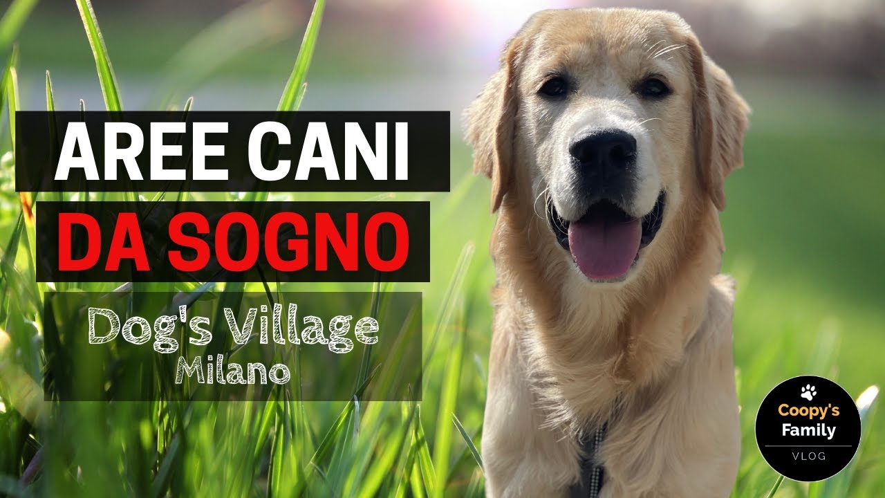 Aree Cani da Sogno EP1 | Dog's Village Milano