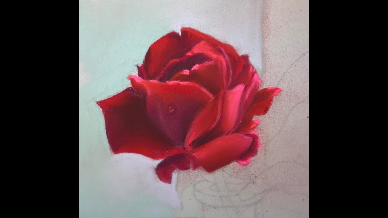 Red Rose in Pastel