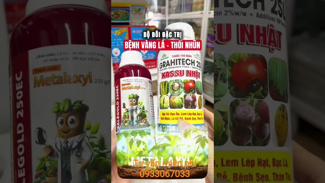 Bộ thuốc đặc trị bệnh v&agrave;ng l&aacute; thối nhũn
