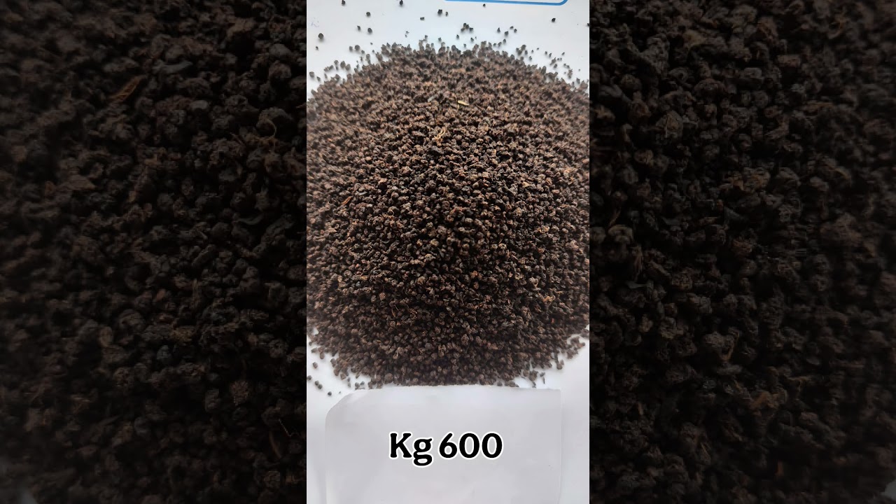 #tea powder best Quality ✅ #All over India Delivery available