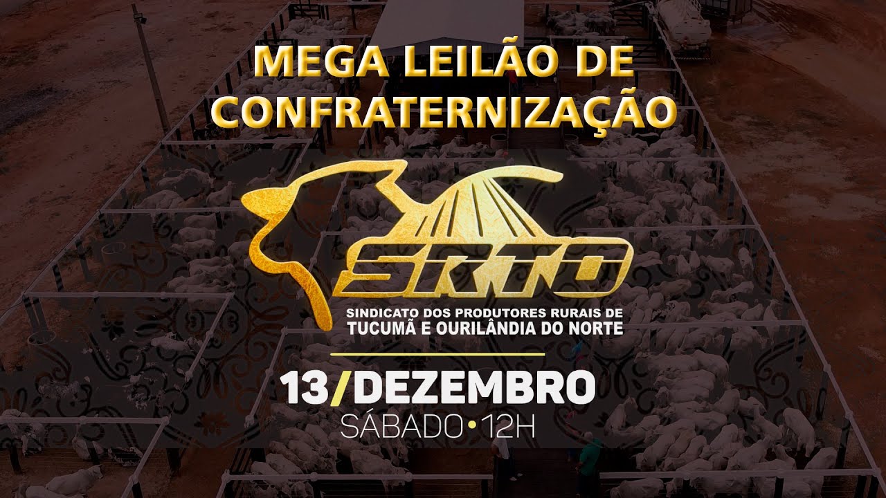 Mega Leilão de Confraternização - SRTO - 13/12/2025