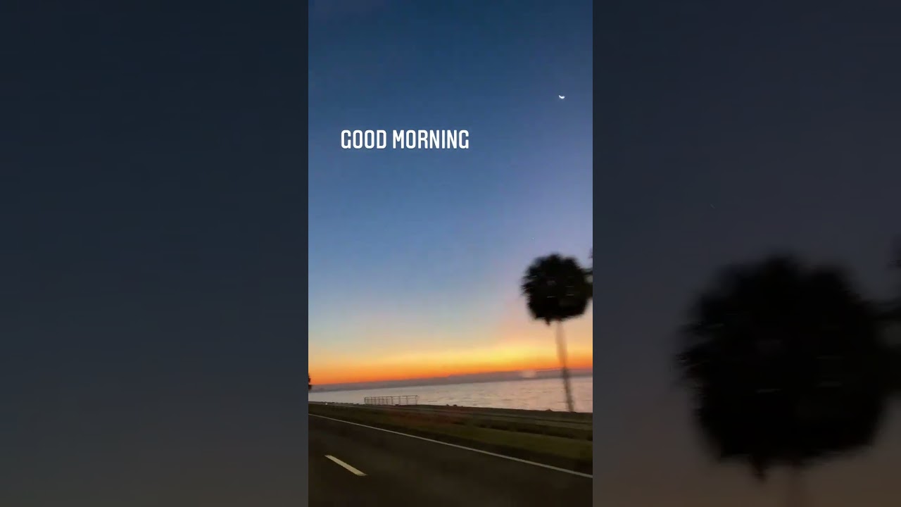 Good Morning From Florida  #florida Sunshine ☀