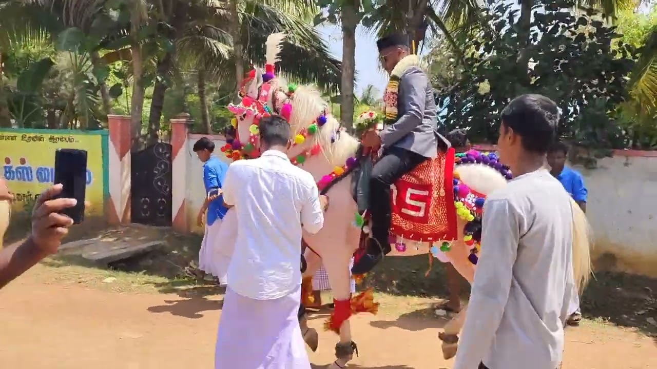 HORSE DANCE TAMILNADU 🐎😚🥁🎷🎶🎹(1)