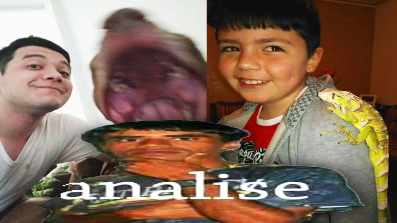 Josefino analisa os bicho de estimação do chat