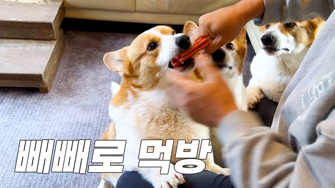 아니야 그거 다 먹으면 안ㄷ