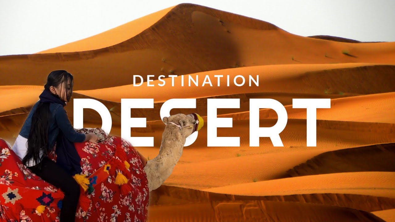 Camel safari desert Qater | Lizi craft Vlog