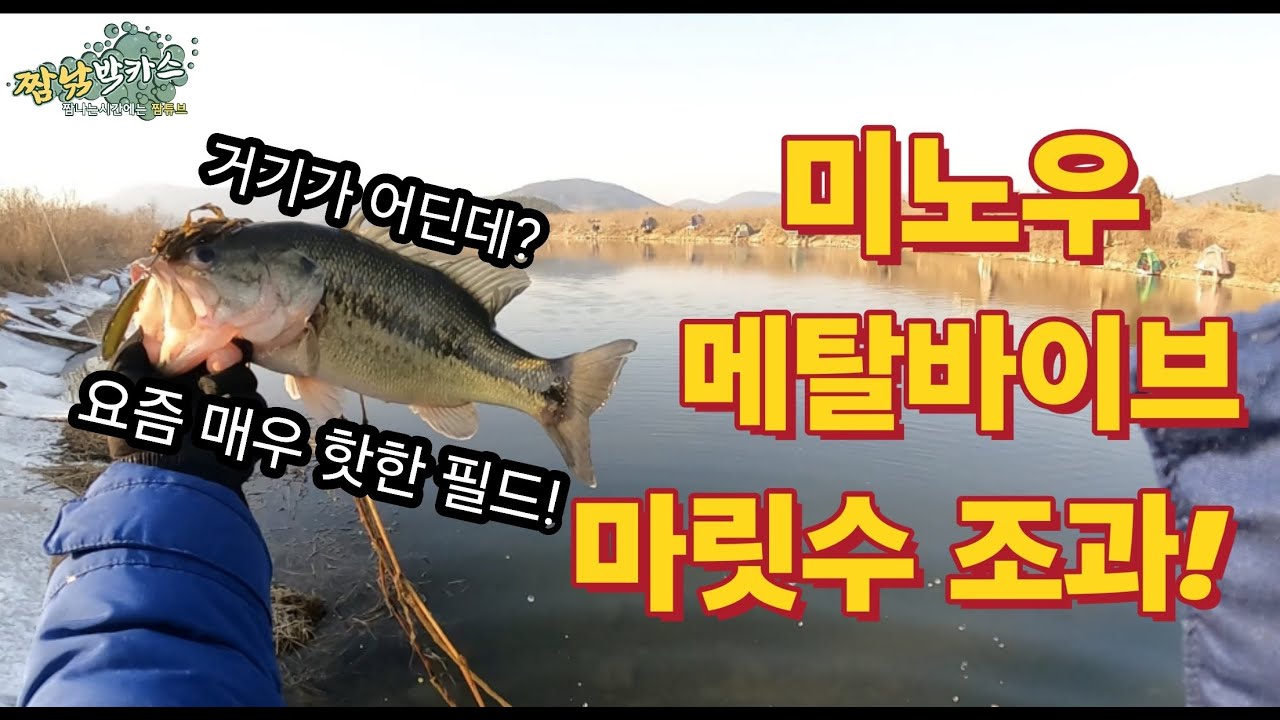 배스낚시 부사호 증산교 배스낚시 성지에서 대박조황!! 미노우로 24년 첫배스 잡다!! #배스낚시 #미노우 #저크베이트 #메탈바이브 #스쿨링 #잉어 #bassfishing #짬낚
