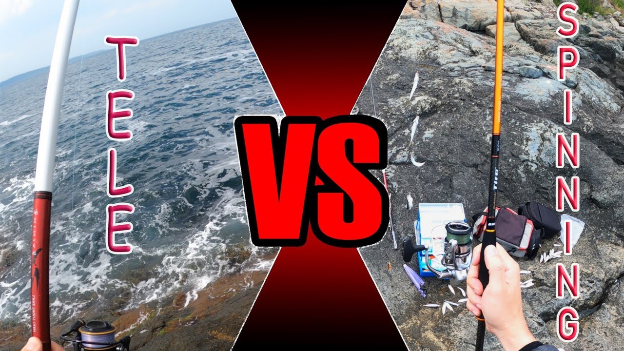 Първи пролетен сафрид / граца ! Телескоп 4.20 vs Спининг 2.36