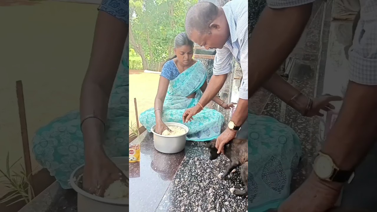 importance of dogs in this temple 🙏#shorts#ytshorts#shankarbaba foundation #renilkomitla #nellore
