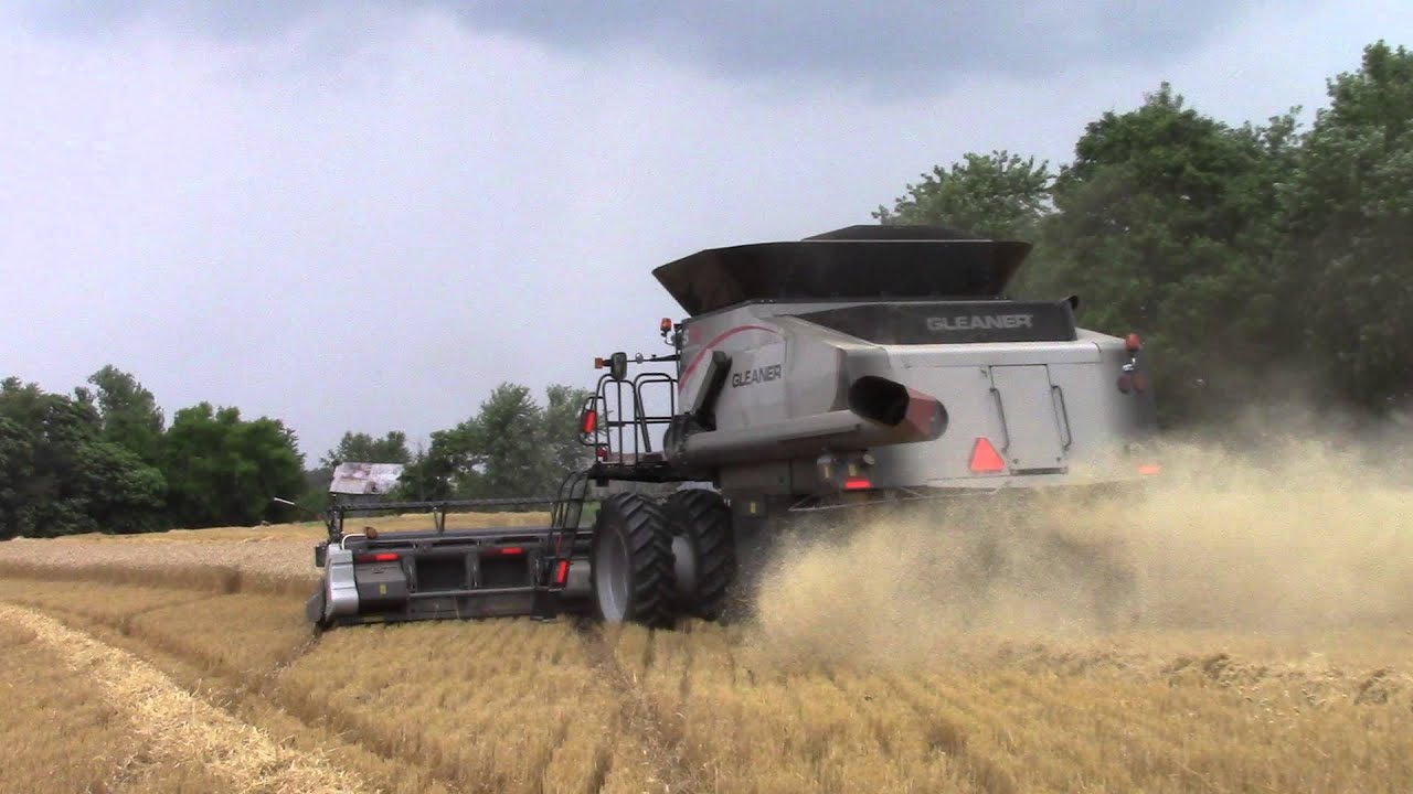 AGCO Gleaner S78 Combine Harvesting Winter Wheat