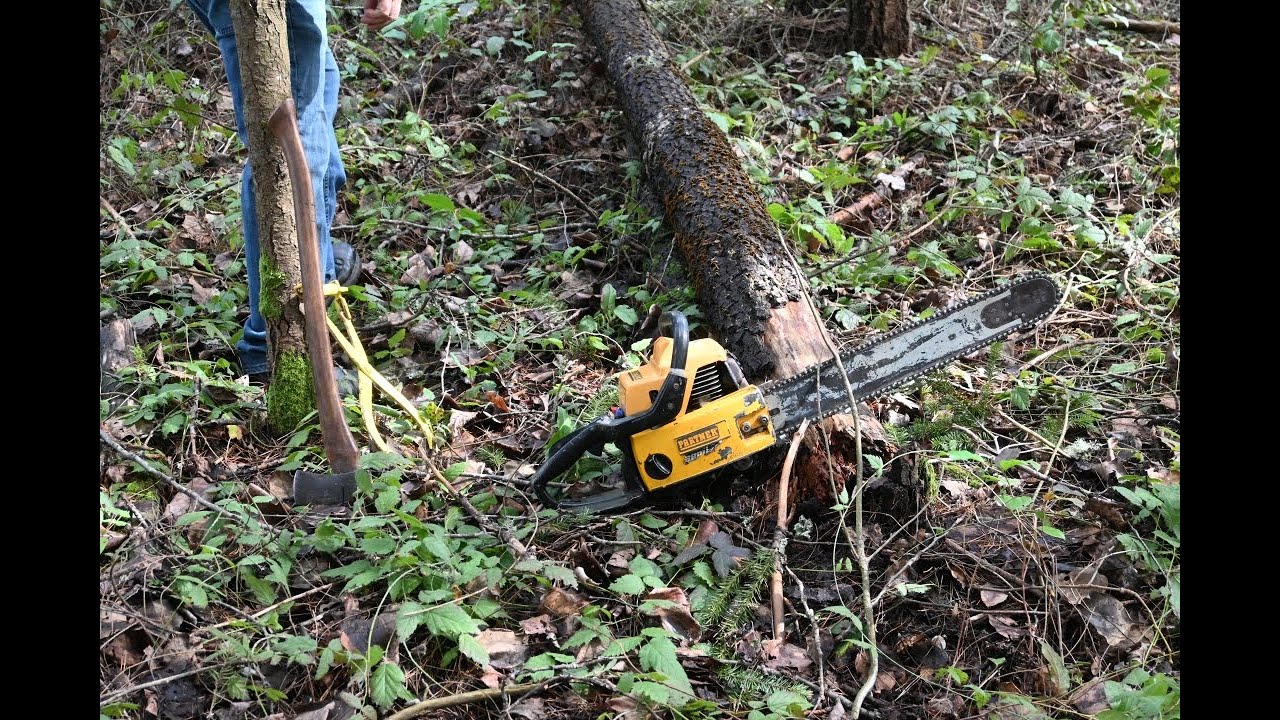 Vintage Partner S-55 Chainsaw VS Blowdown Tree
