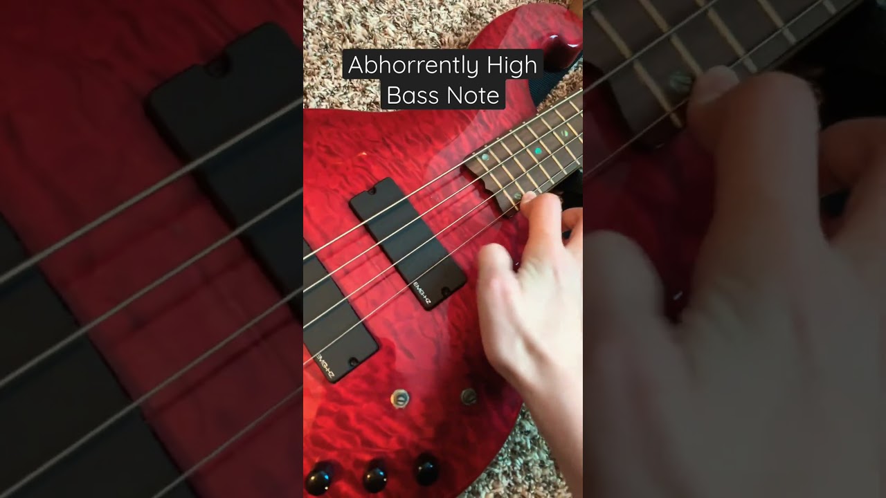 Abhorrently High Bass Note!