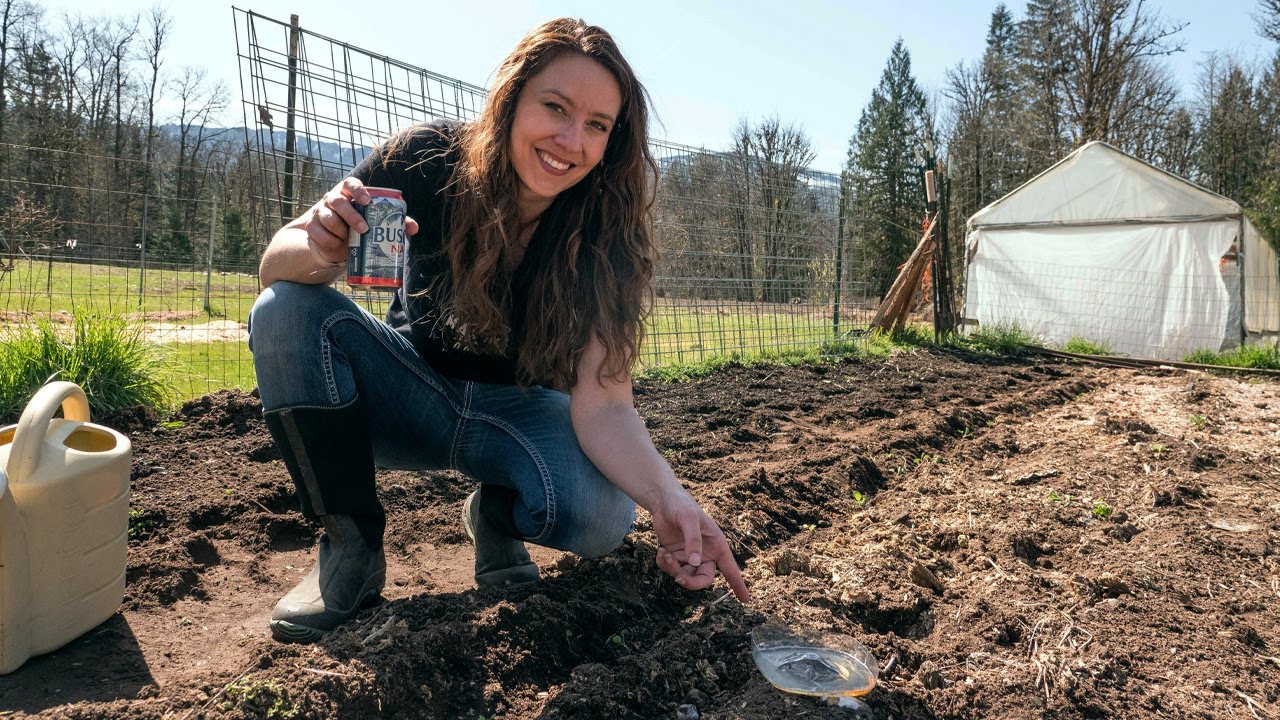 How I'm Keeping Slugs & Cabbage Moths OFF My Plants Organically