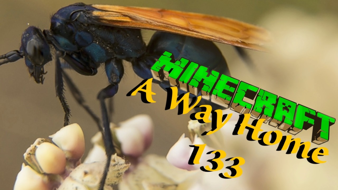 Dieser *BEEP* Tarantel Falke 🦟 Minecraft: A Way Home [E133]