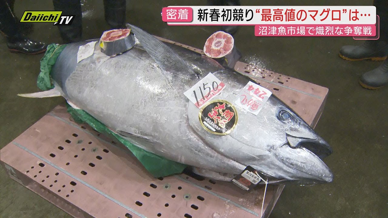 【2026年】魚市場で初競り…目玉の青森･大間産の“一番マグロ”を競り落としたのは？味わった客は？(静岡･沼津市)