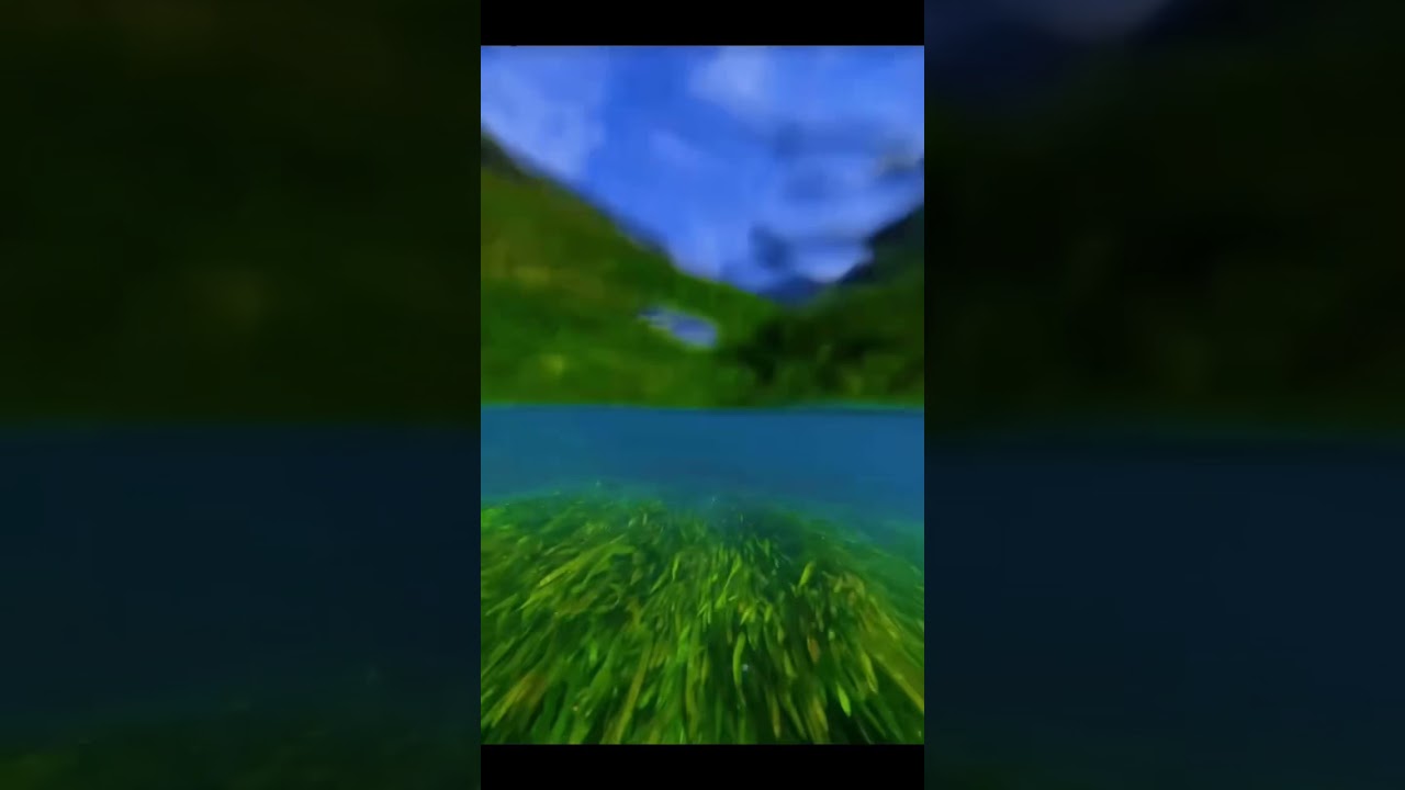 #TRUMCONGNGHE #phukiendienthoai #xuhuong