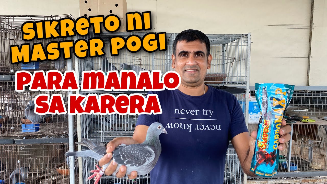 SIKRETO NI MASTER POGI PARA MANALO SA KARERA |Reggie Cruz Loft & Aviary #reggiecruzloft #loftbanwait