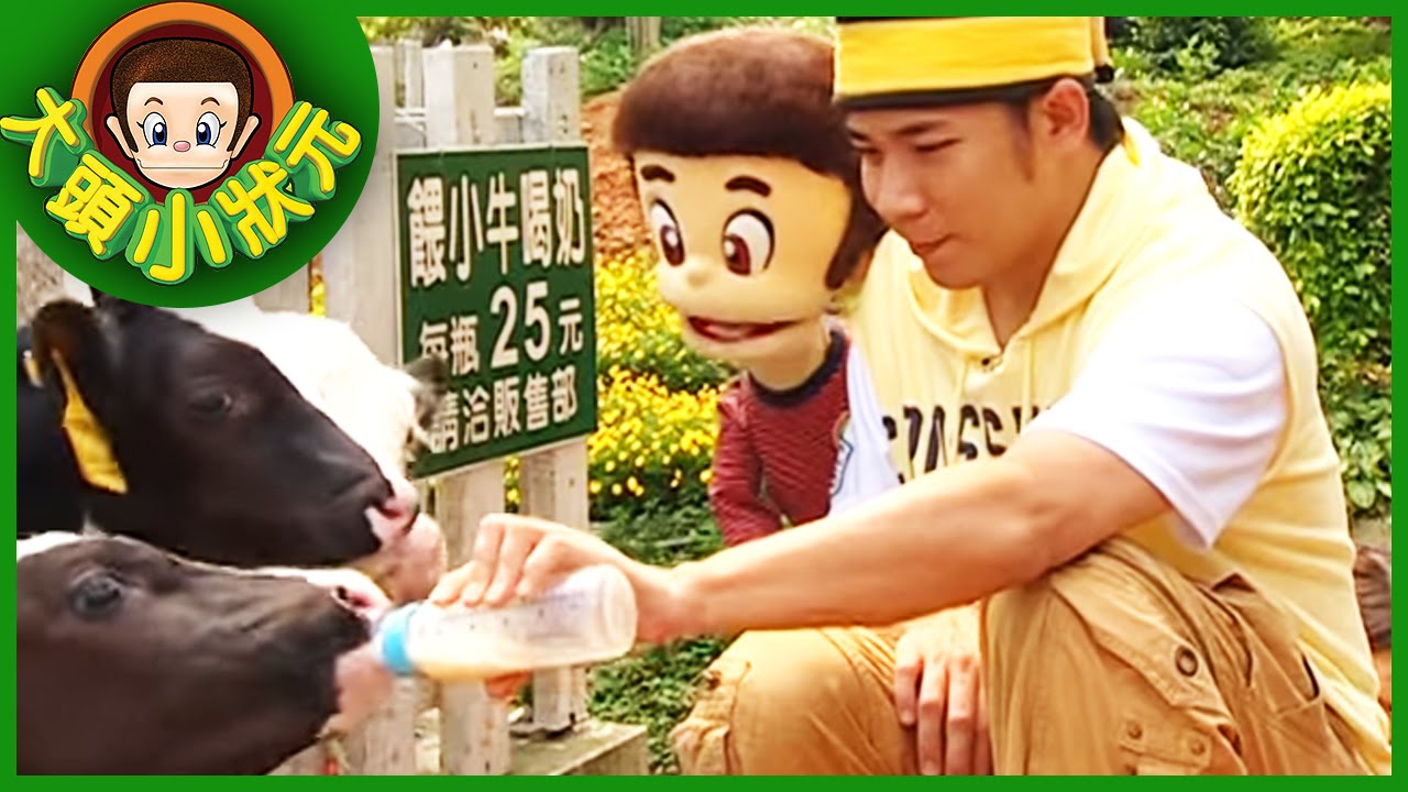 【大頭小狀元】牛乳大王 YOYO 第二季 #8