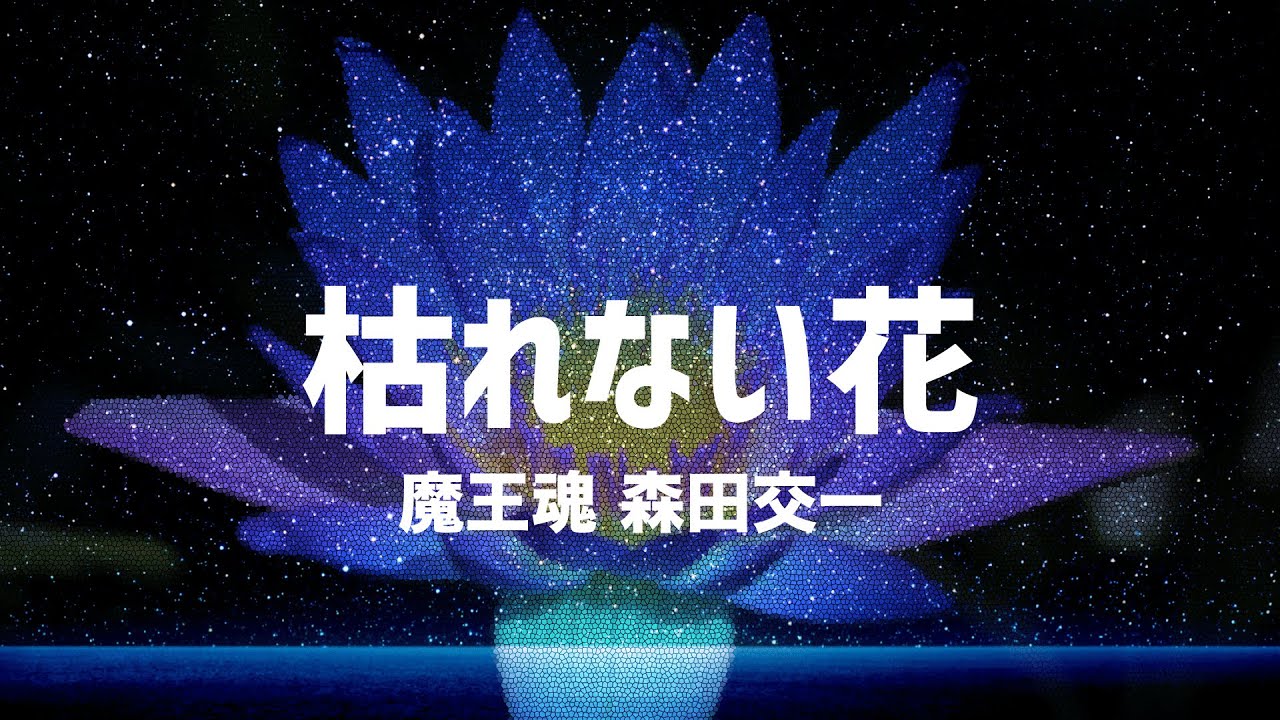 Koichi Morita - non-fading flower [Official MV]