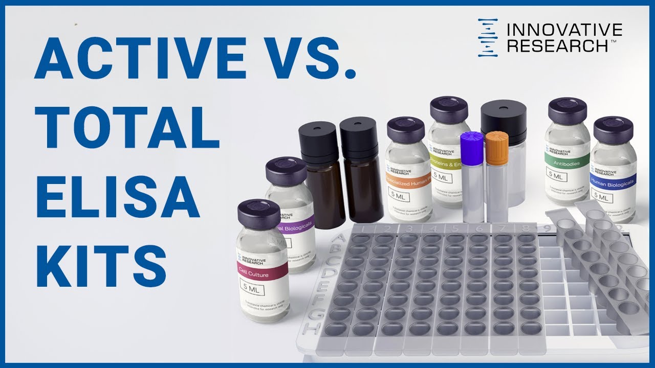 Choosing Between Active and Total ELISA Kits | Innovative Research
