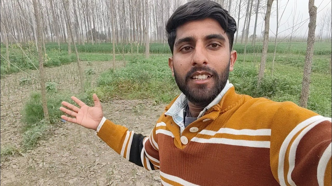 Our farm and vegitables 😋 |  Keshav Dhiman Vlogs 