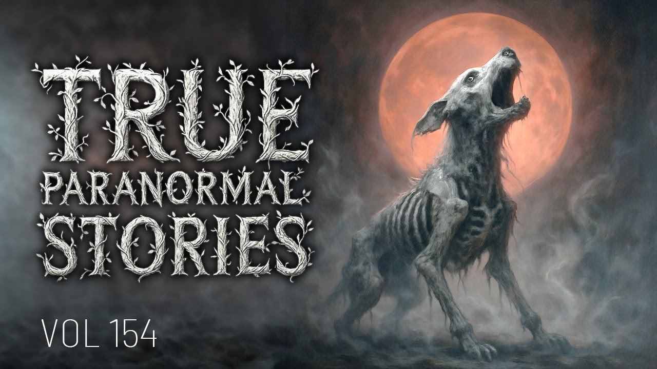 111 Paranormal Stories |  Bone Chilling Paranormal Tales Unleashed | Vol 154