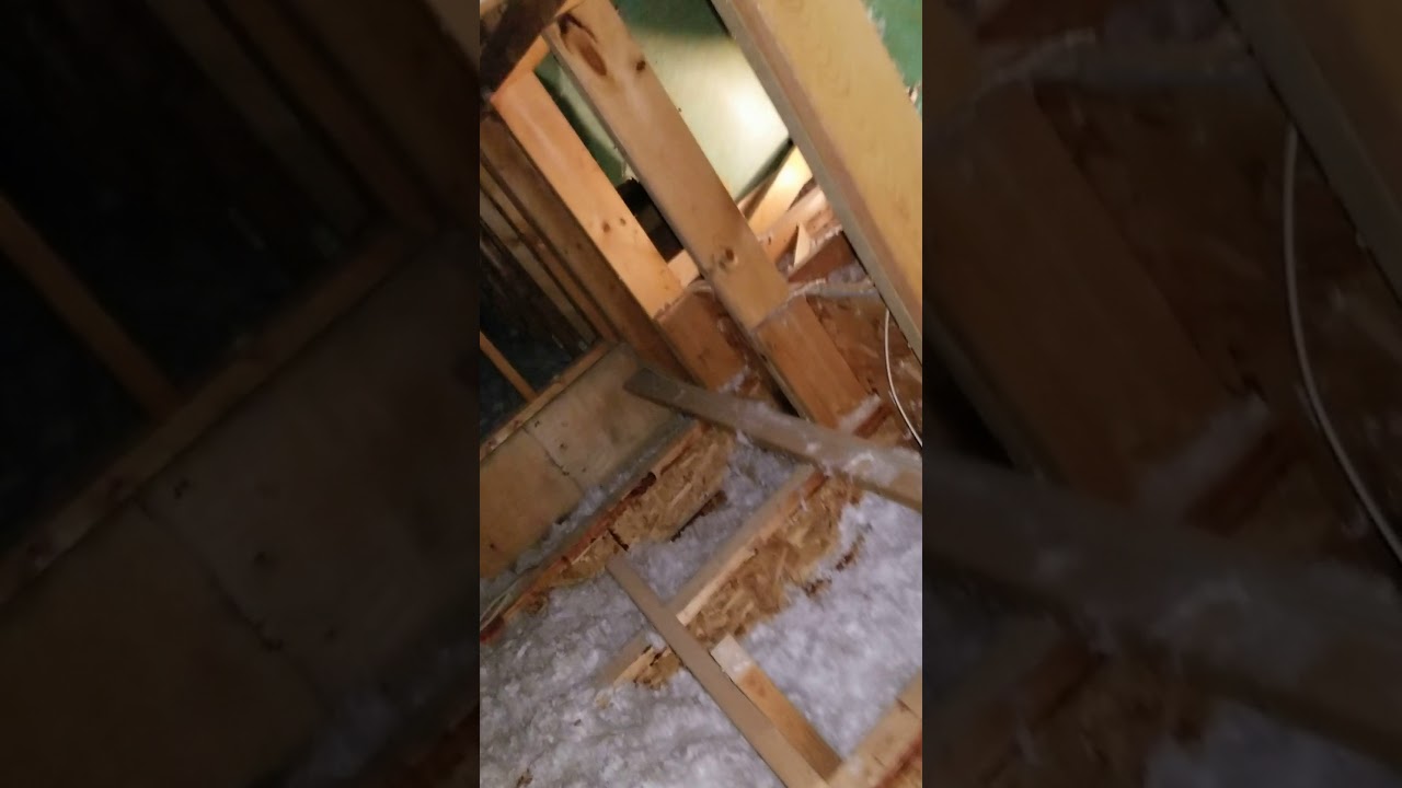 Fun in the attic