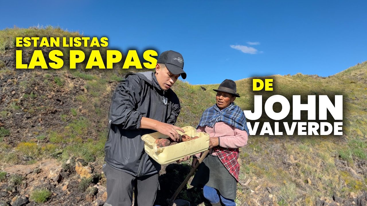 Las PAPAS de John Valverde están de CAVE