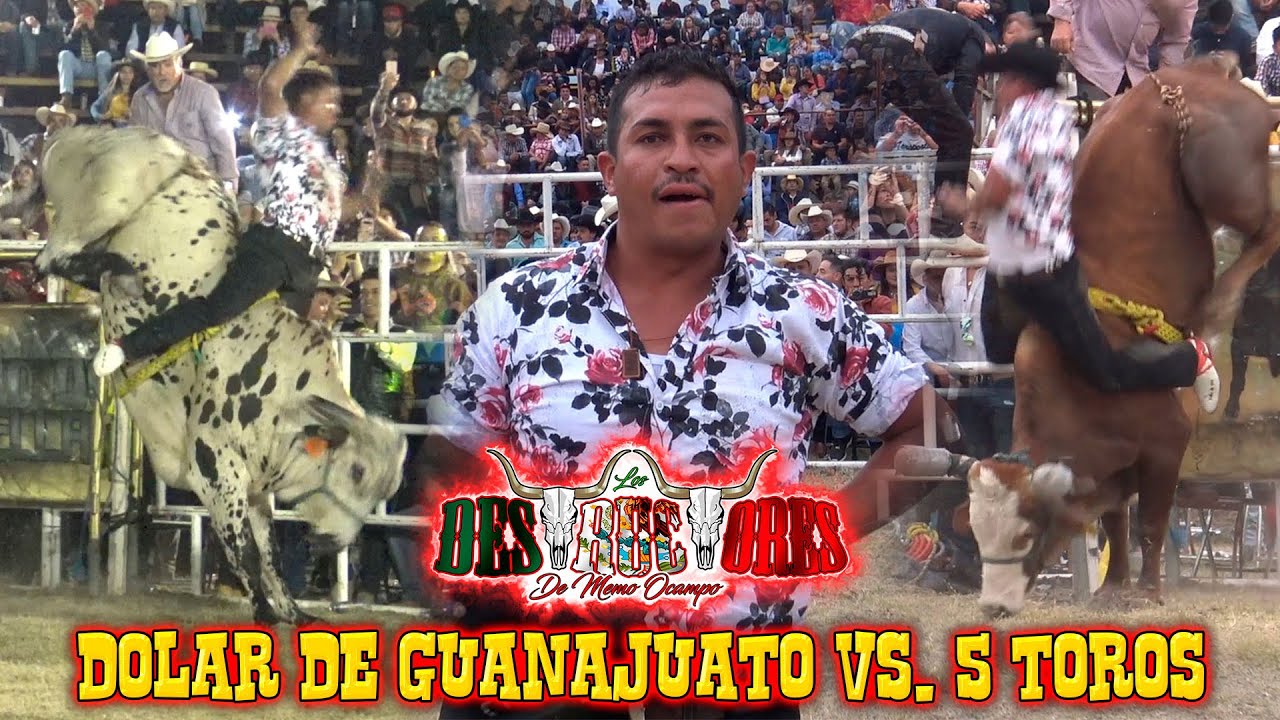 ¡5 TOROS PARA DOLAR DE GUANAJUATO! EL JARIPEO TRADICIONAL CON 22 DESTRUCTORES EN LA NORIA GUANAJUATO