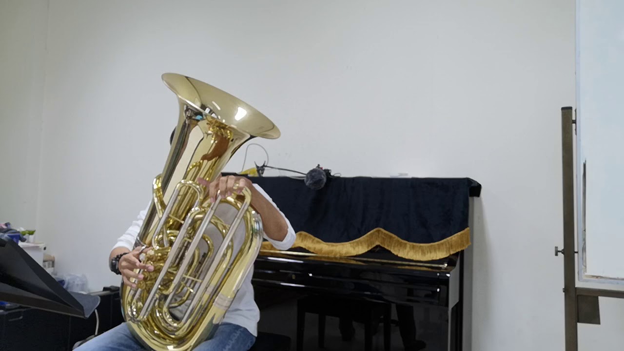 Symphony No.7 - Anton Bruckner (Tuba Excerpt)