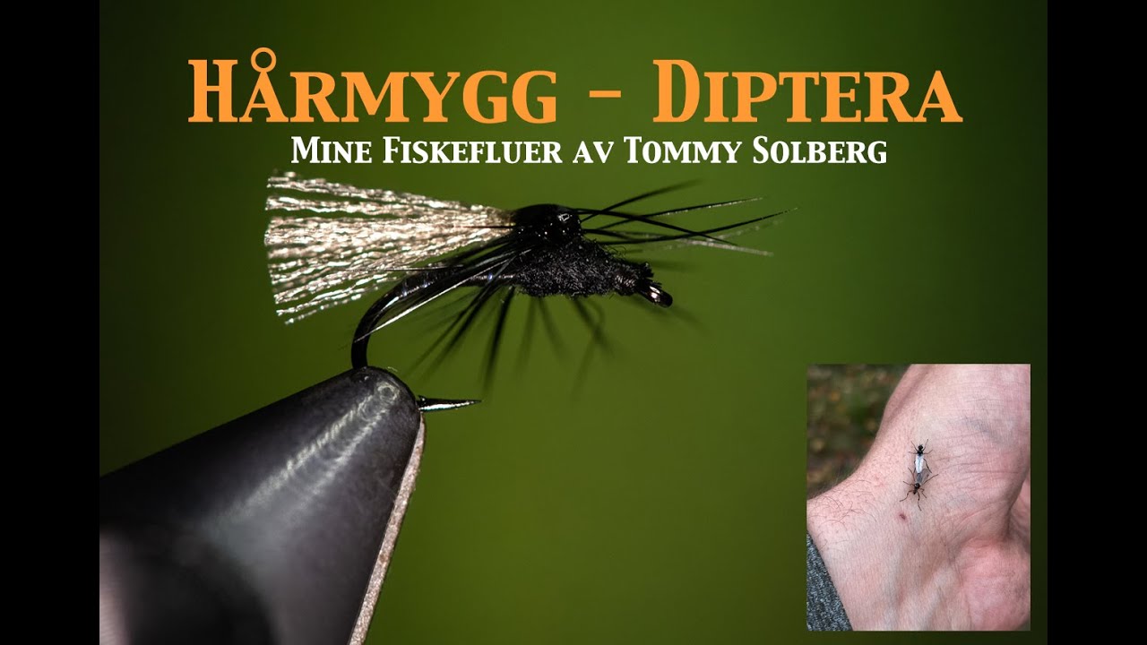Hårmygg - Diptera - Tovinge #minefiskefluer #hårmygg #fluebinding #tørrflue#fluefiske
