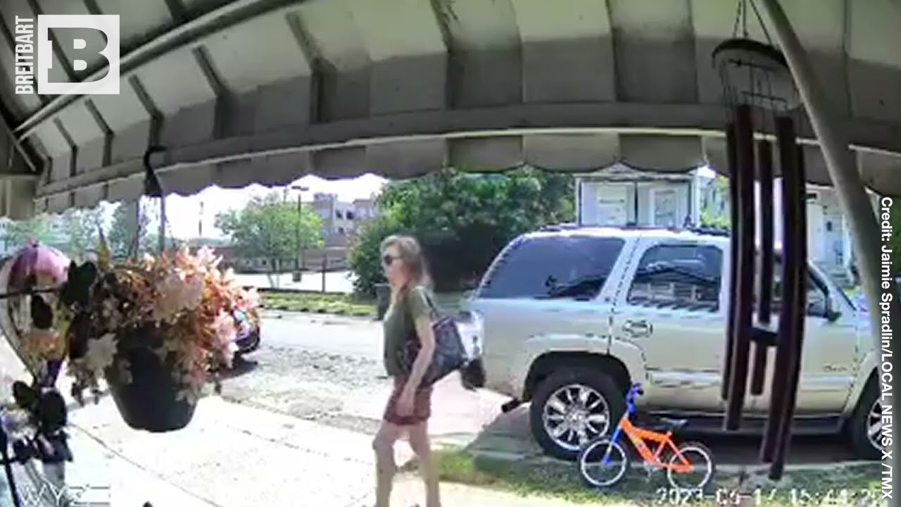 CREEPY! Woman Poses as Child Protective Services to Allegedly Try to Kidnap Kid